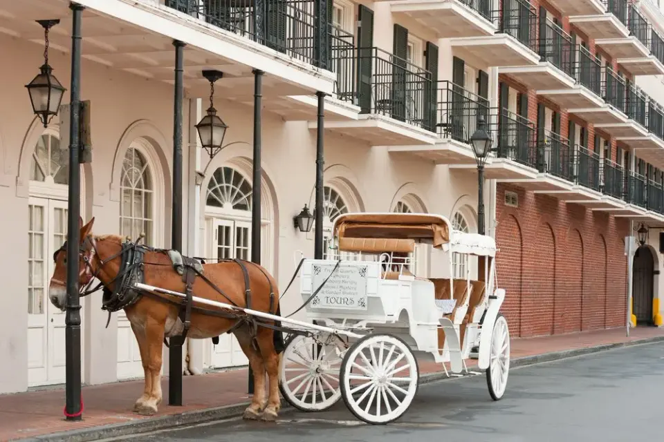 White horse-drawn carriage waiting outside historic French Quarter buildings with wrought-iron balconies