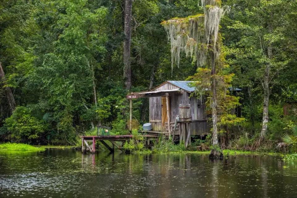Weathered wooden cabin on stilts beside a still bayou draped in Spanish moss