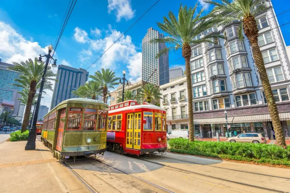 Green and red New Orleans streetcars passing on Canal Street lined with palm trees and buildings