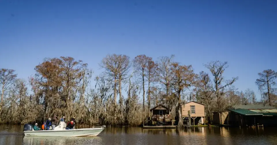 Tour boat of bundled passengers passing bare winter cypress trees and camps on a bayou