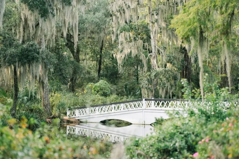 White arched footbridge over still water framed by Spanish moss-draped oaks on a Louisiana estate