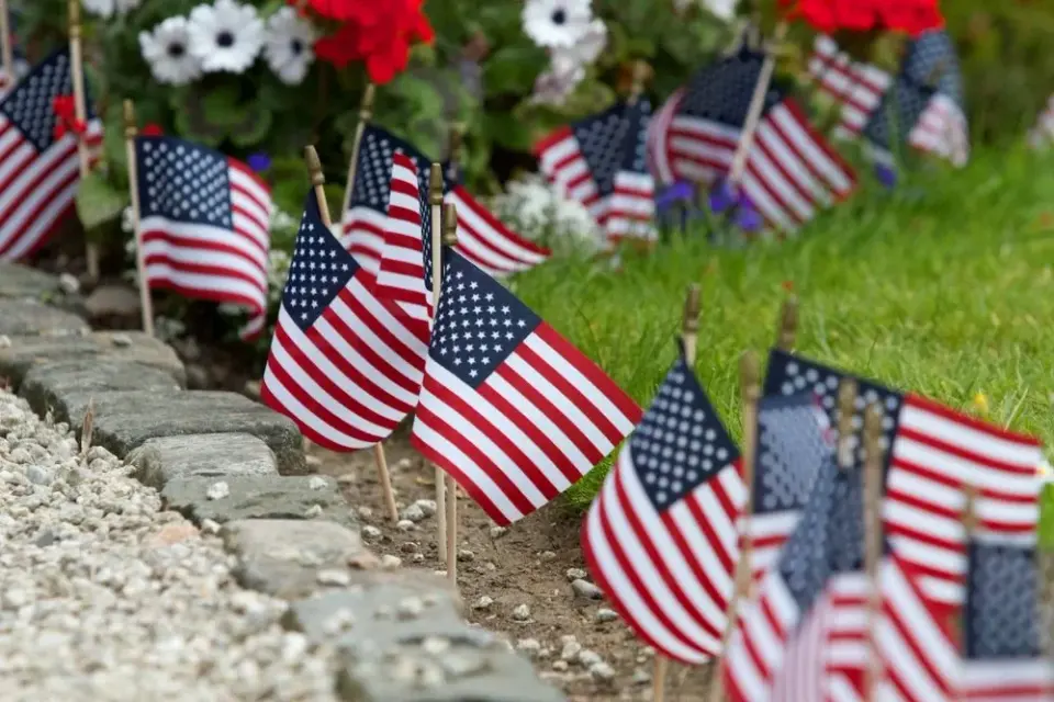 Row of small American flags planted along a garden border with red and white flowers behind them