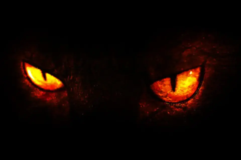 Menacing glowing orange reptilian eyes emerging from pitch-black darkness