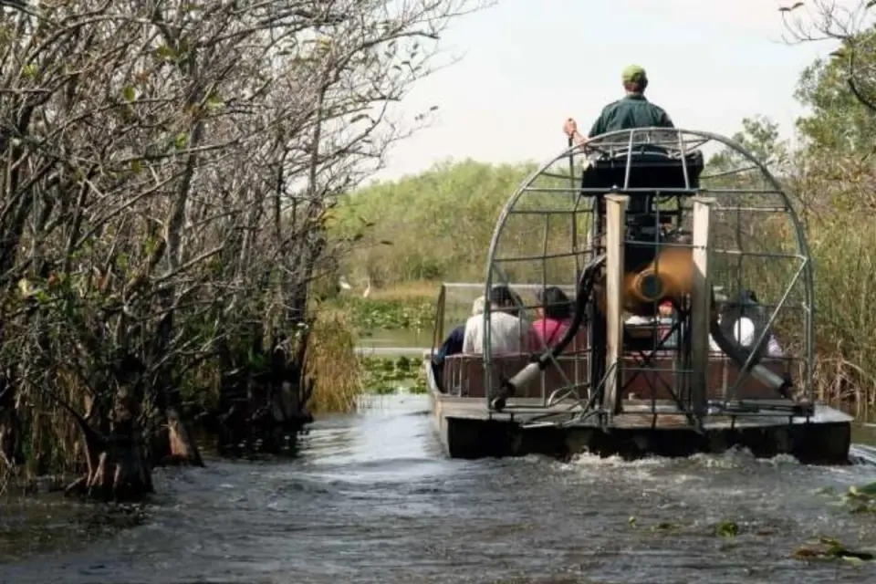 Airboat captain steering passengers through a bare winter swamp channel lined with leafless trees