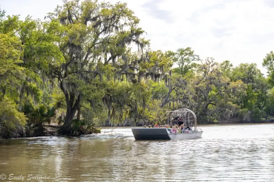 Tour airboat gliding across a wide bayou lined with moss-covered cypress trees