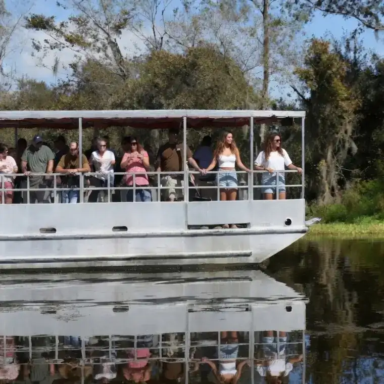 Guests riding beneath the full awning of a covered pontoon on a Louisiana swamp tour