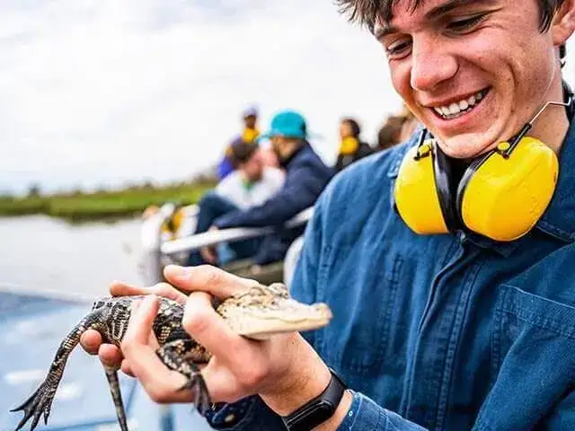 A swamp tour guest holds a baby alligator and smiles while aboard an airboat in the Louisiana bayou during a New Orleans swamp tour.