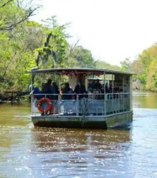 Covered pontoon boat carrying swamp tour guests through the Louisiana bayou, part of a family-friendly New Orleans swamp tour experience.