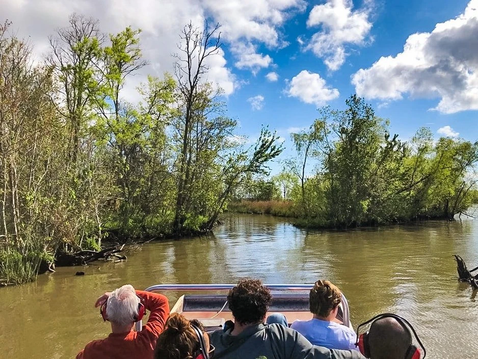 bayou swamp tours new orleans