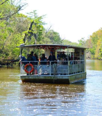 bayou swamp boat tour