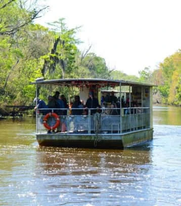 bayou swamp boat tour