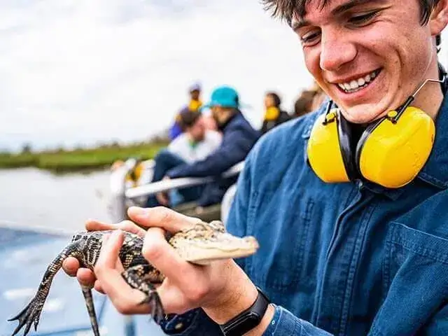 Top 6 Best Louisiana Swamp Tours & More in 2024