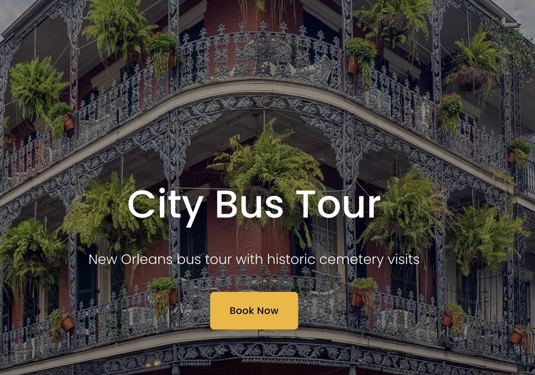 City Bus Tour new orleans