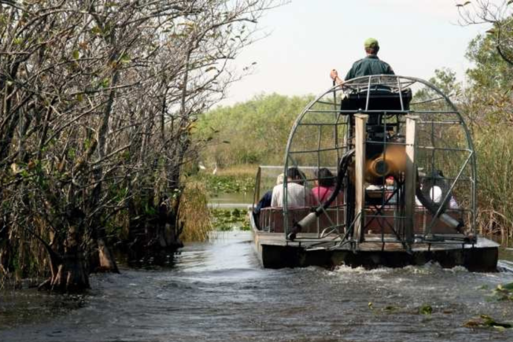 winter swamp tour