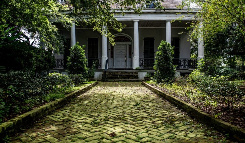 Explore Culture, Soul, and the Best Swamp Tour in New Orleans Before Essence Festival