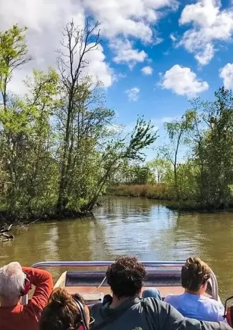 bayou-swamp-tours-4-min